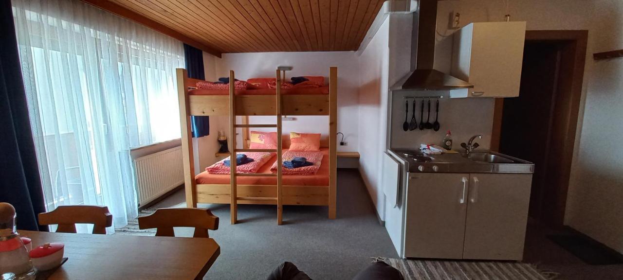 Studio Hochzillertal Mit Sauna & E-Ladestation Apartment Ried im Zillertal Ngoại thất bức ảnh